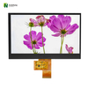 Affichage TFT de 11,6 pouces Haute résolution 1920 * 1080 IPS LCD