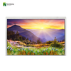Affichage TFT extérieur de 10,1 pouces 1280 * 800 IPS LCD pour applications industrielles